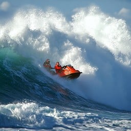 RESCATE Y SUPERVIVENCIA